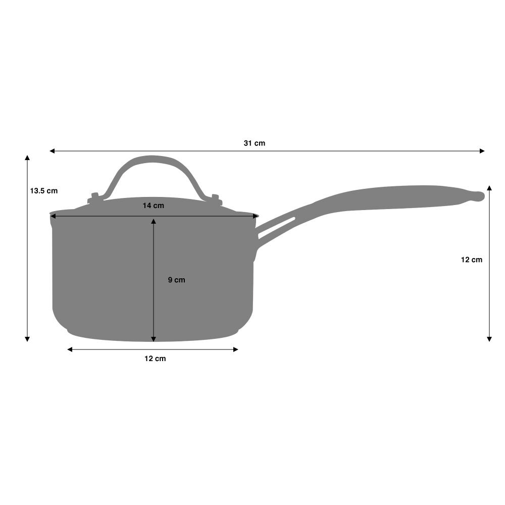 Small Induction Pan with Toughened Glass Lid and Heat-Resistant Handles 1.2L ProCook Professional Stainless Steel Saucepan with Lid 14cm 