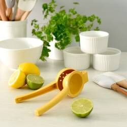 Main image for image of Citrus Juicer Lemon