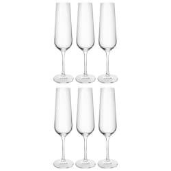 Modena Champagne Glass - Set of 6 - 210ml